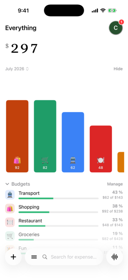 Monthly budgets per category