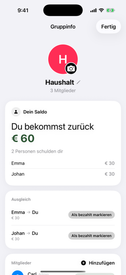 Eine geteilte Haushaltsliste mit Salden